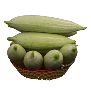 Hema Snake Gourd From Known You Seed (India)-KYI